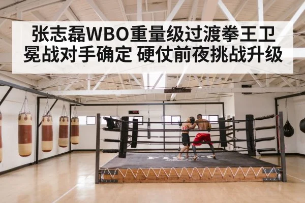 boxing ring fight night