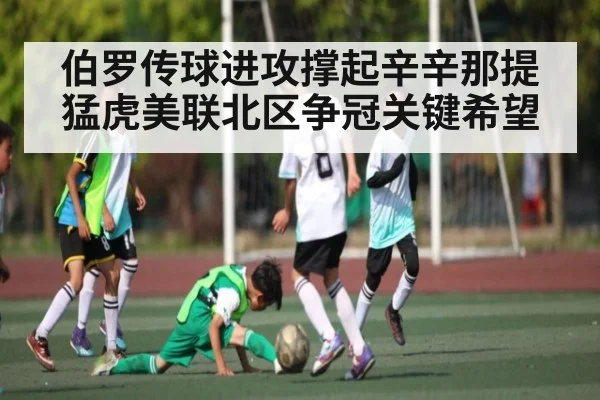 伯罗传球进攻撑起辛辛那提猛虎美联北区争冠关键希望 - kaiyun