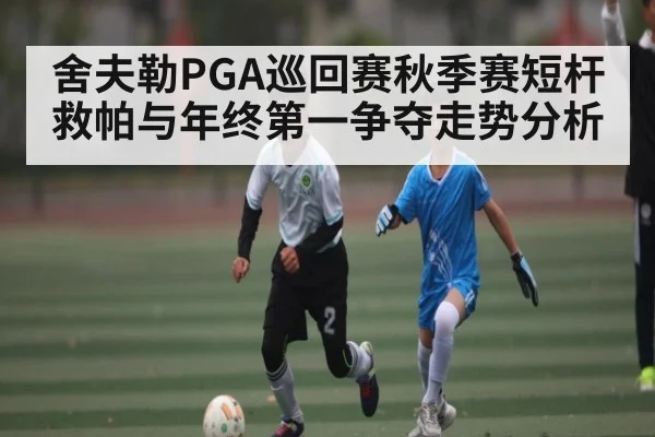 舍夫勒PGA巡回赛秋季赛短杆救帕与年终第一争夺走势分析 - kaiyun